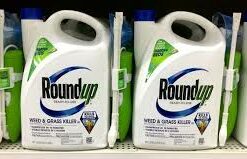 Weed Killer 25L Grade 2